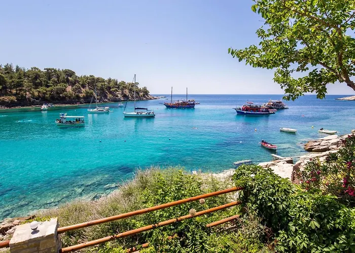 Apartament Anthi Alikí